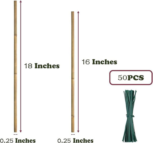 50PCS Plant Stakes, 16 Inch Natural Bamboo Stakes, Garden Stakes - Image 2