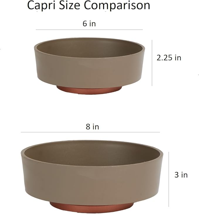 The HC Companies 6 Inch Round Plastic Succulent Capri Bowl 6"x6"x2.25" in - Image 5