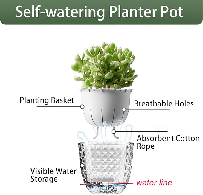 2 Pack 6 inch Self Watering Pots Planters - Image 3