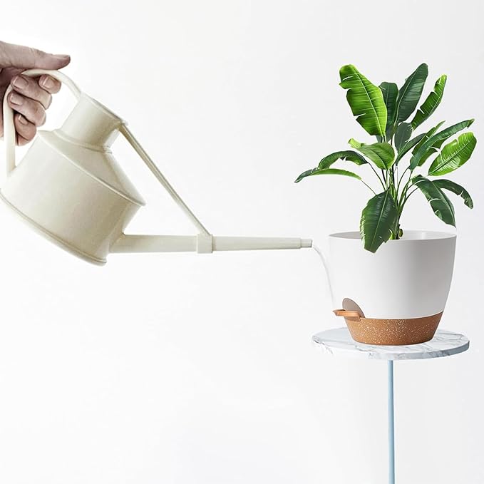 5-Pack Plant Pots with Drainage - Image 5