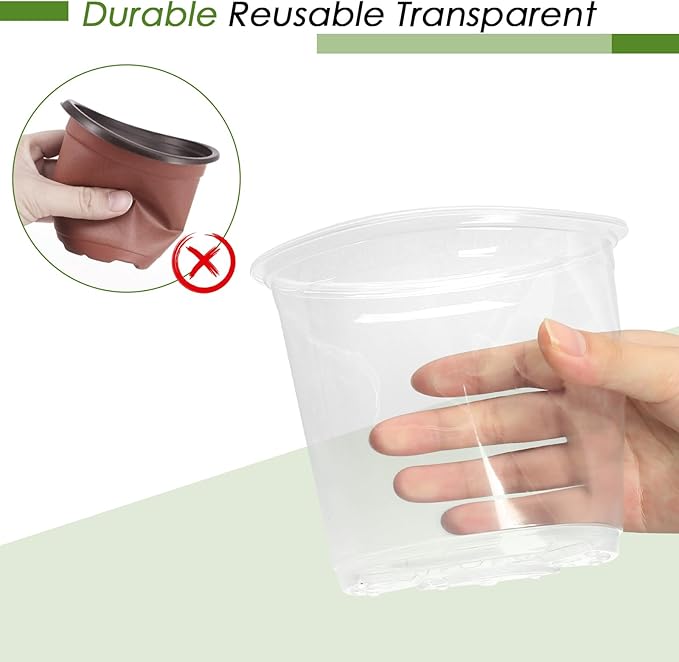 5 Inch Clear Nursery Pots for Plants - Image 5