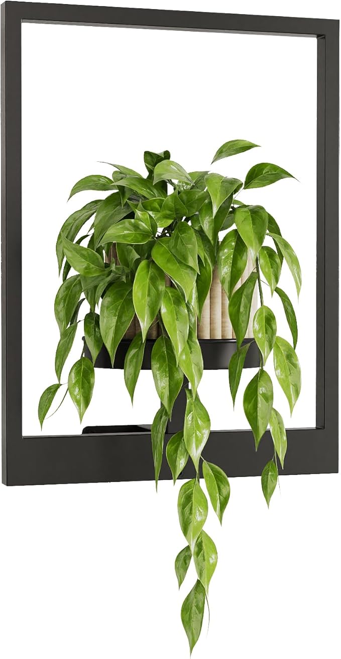 Wall Plant Holder Wall Planters - Image 8