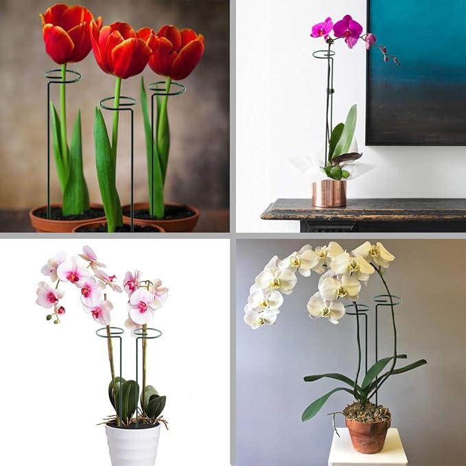 HiGift 5 Pack Plant Support Stakes, Garden Single Stem Flower Support Stick - Image 3