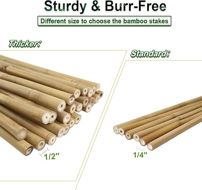 25pcs 7/20" D Thicker Heavy Duty Bamboo Stakes, 3FT Plant Stakes, Natural - Image 5