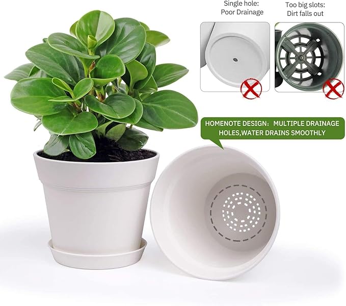 homenote Plant Pots, 6 Inch Flower Pots - Image 6