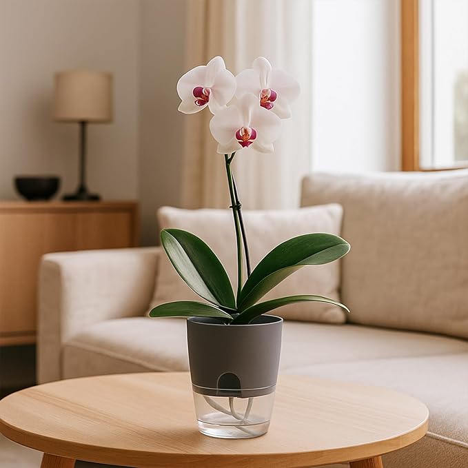 3 Pack Self Watering Pots for Indoor Plants, PlanterHoma 6 Inch Plant Pot - Image 2