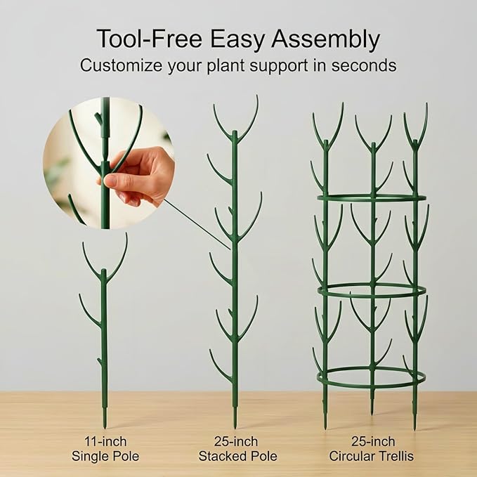 10-Pack Monstera Plant Support Stakes - Image 6