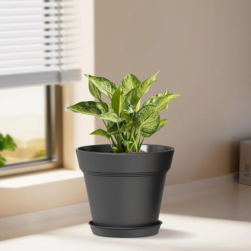 5 Inch Plastic Plant Pots with Drainage Holes and Trays – 6 Pack Small Nursery - Image 2