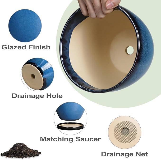 Ceramic Pots for Plants - Image 6