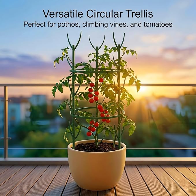 20-Pack Monstera Plant Support Stakes - Image 2