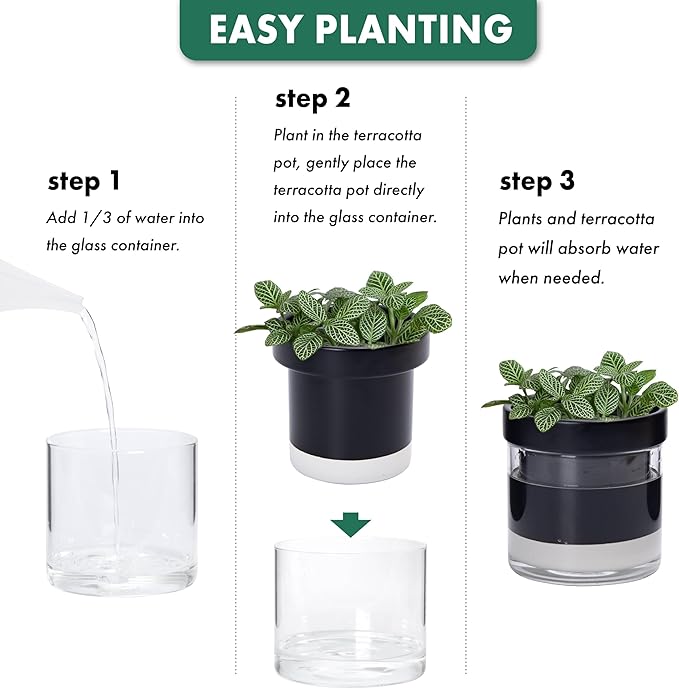 Phoenix Vine 4 Inch Self Watering Terracotta Planter - Image 7