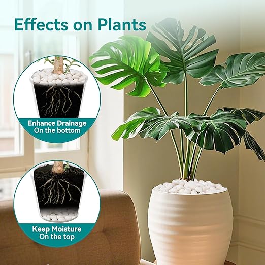 5 lbs White Rocks for Landscaping, 1-2 inch Decorative Rocks for Plants Indoor - Image 3