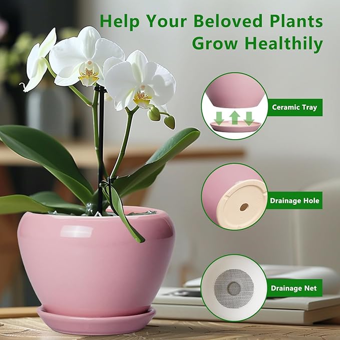 6 Inch Plant Pot - Image 5