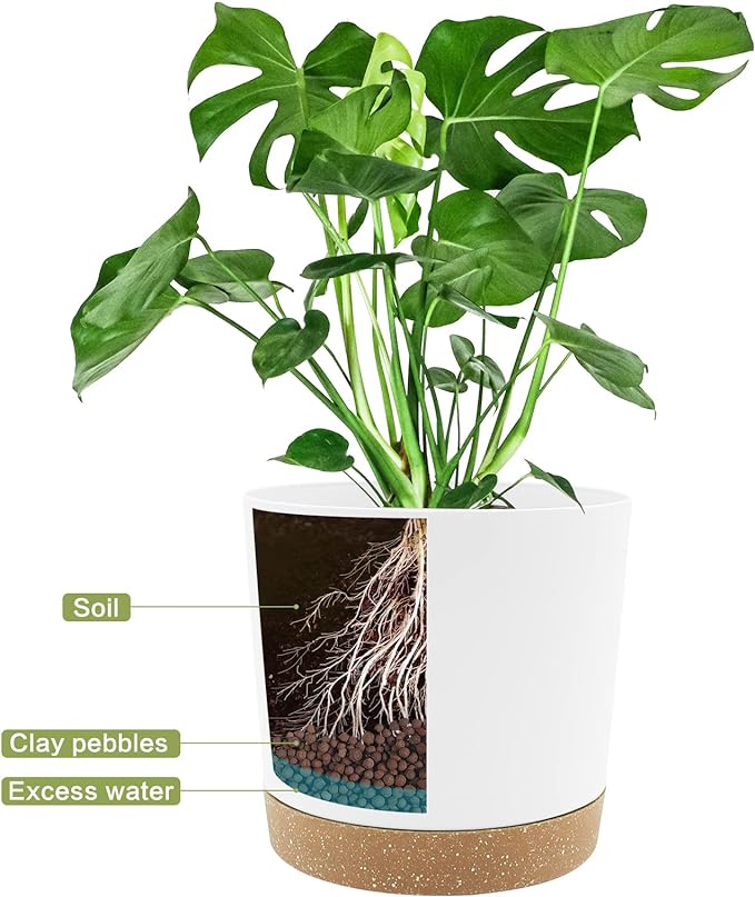 QCQHDU 8 inch Plant Pot, 2 Pack Planters - Image 4