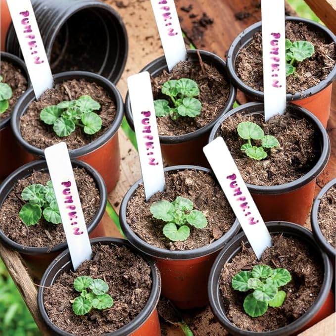 Plant Nursery Pot/Pots 100 Pcs 4" Plastic Small Plants Pots Flower Pots Seed - Image 5