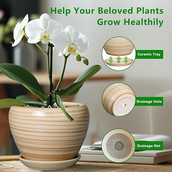 6 Inch Plant Pot Ceramic - Image 5