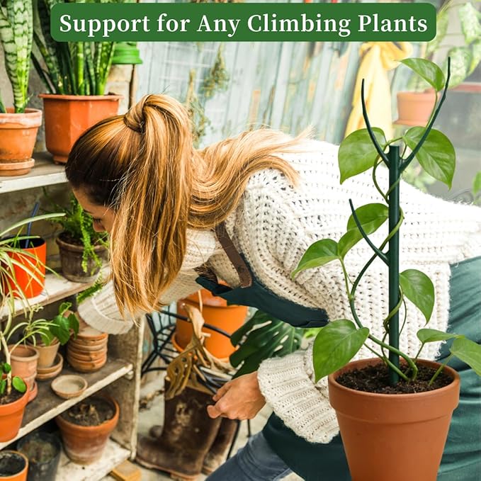 15 Pack Stackable Monstera Plant Support Stakes, 120inch Climbing Plant Sticks - Image 5