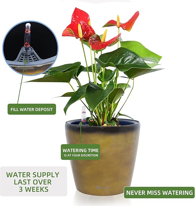 Dexceder 9x8 Inches Self Watering Planter Indoor Outdoor, Inner Pot Design - Image 5
