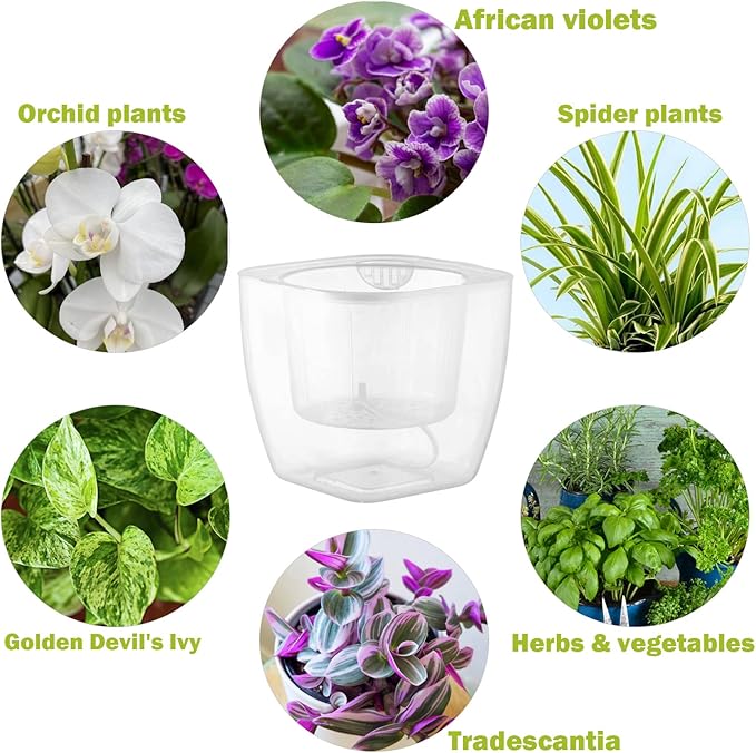 6-Pack 7 Inches Clear Self Watering Planters - Image 2