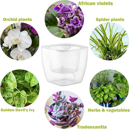 12-Pack Clear Self Watering Planters - Image 2
