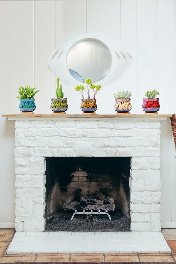 Cute Ceramic Succulent Garden Pots, Planter - Image 4