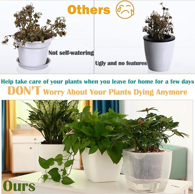6-Pack 7 Inches Clear Self Watering Planters - Image 5