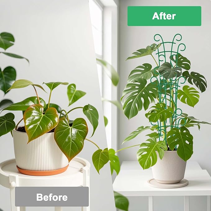 Indoor Plant Trellis for Climbing Plants, 8 Pack Garden Trellis for Potted - Image 4