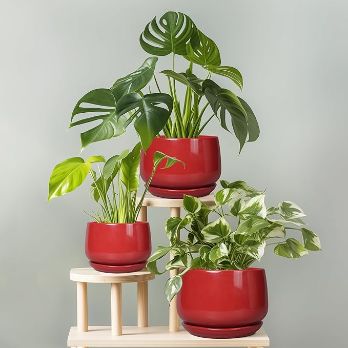 G EPGardening Ceramic Plant Pots - Image 7