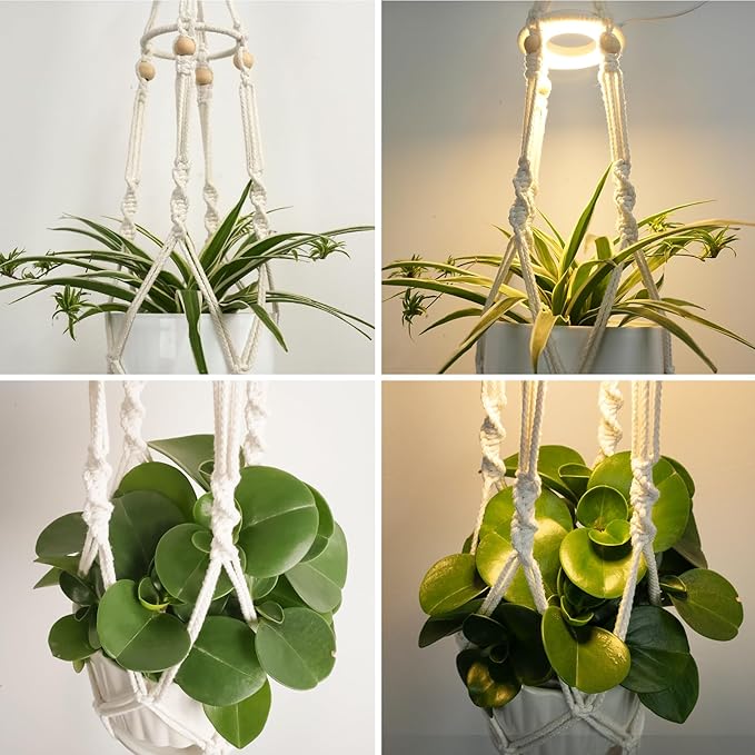 Macrame Plant Hanger with Grow Light: 2 Pack Sturdy Hanging Planters - Image 5