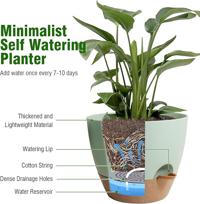 8 inch Self Watering Pots, 2 Pack Plastic Planters - Image 5