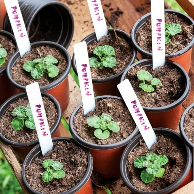TDHDIKE 4" Small Plastic Plant Nursery Pot/Pots Seedlings Flower Plant - Image 7