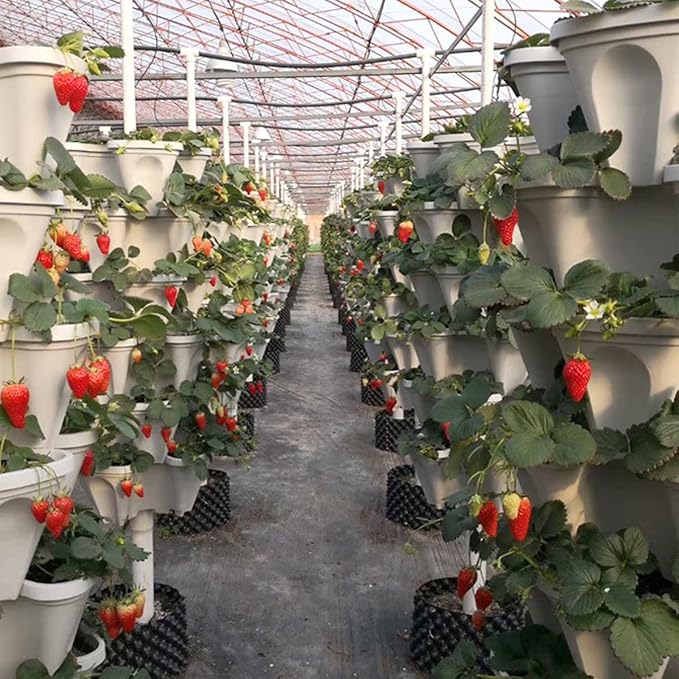Strawberry Vertical Planters, 6 Tiered Stacking Tower Garden, Stackable Herb - Image 8