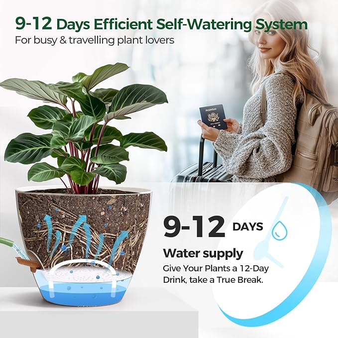 T4U 3 Pack Self Watering Pots - Image 5