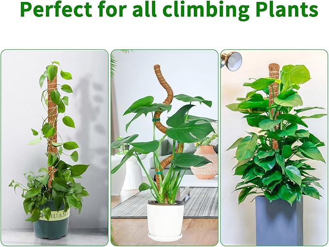2 Pack 28 Inch Moss Pole Monstera Plant Support, Coir Moss Poles - Image 5