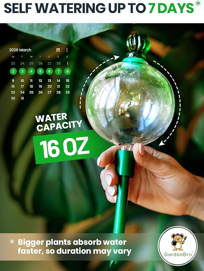 3pcs 16 Oz Plant Watering Globes - Image 2