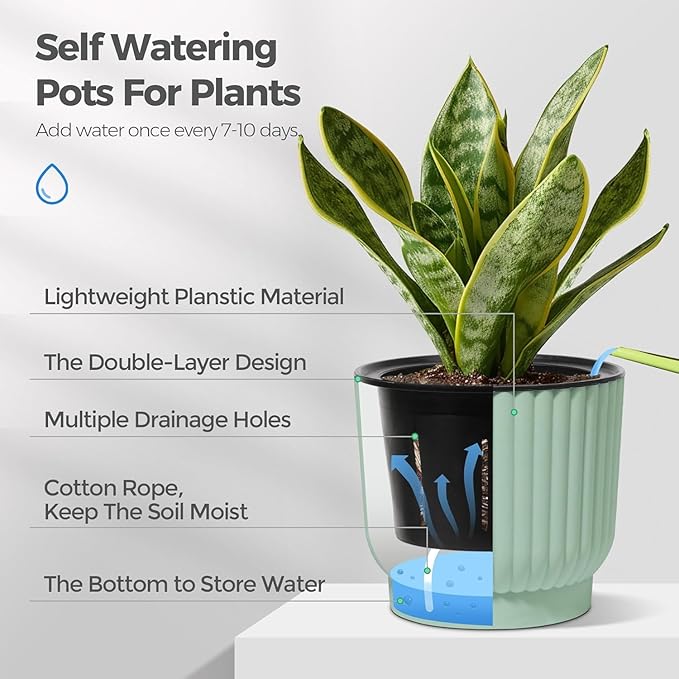 T4U 4.5 Inch Plant Pots Self Watering, 6 Pack African Violet Pots, Small Plant - Image 5