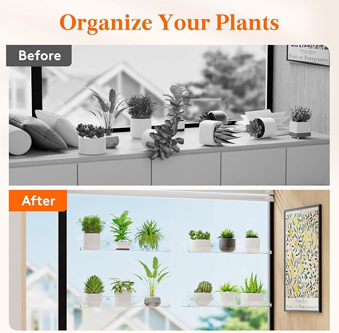 Lifewit Window Plant Floating Shelves 14.6x3.6, 3 Pack Acrylic Suction Cup Shelf - Image 9
