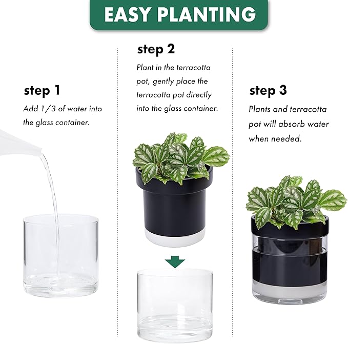 Phoenix Vine 6 Inch 4 Inch Self Watering Terracotta Planter - Image 7
