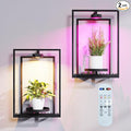 Shineled Wall Plant Holder, Indoor Plants Holders by Shineled