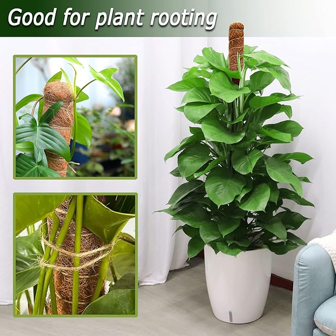 60 Inch Moss Pole for Plants Monstera, Tall Bendable Moss Poles for Climbing - Image 2