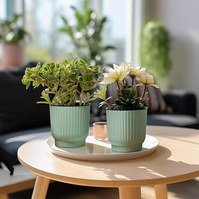 T4U 4.5 Inch Plant Pots Self Watering, 6 Pack African Violet Pots, Small Plant - Image 6