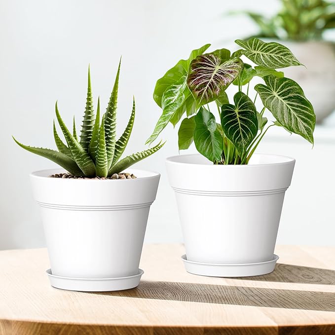 4 Inch Plastic Plant Pots with Drainage Holes and Trays – 8 Pack Small Nursery - Image 6