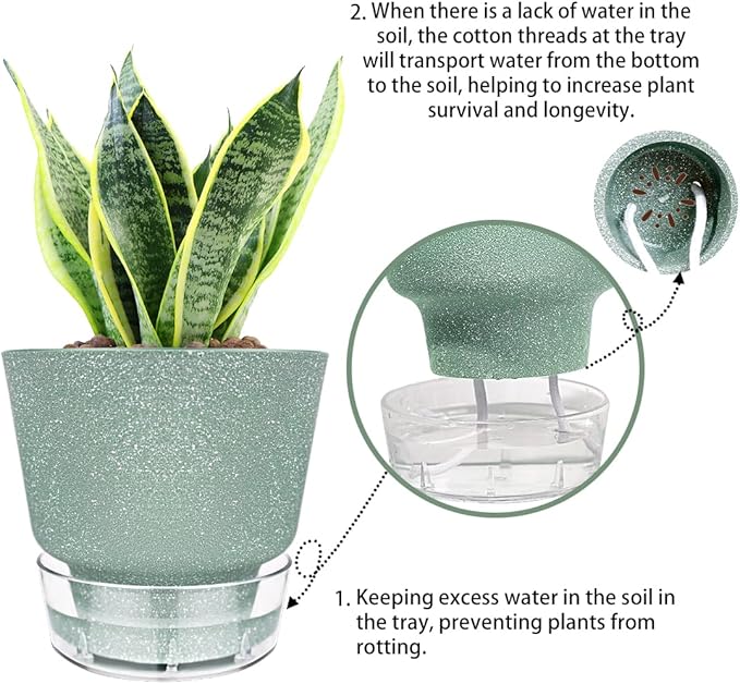 Green Self Watering Plant Pots - Image 5