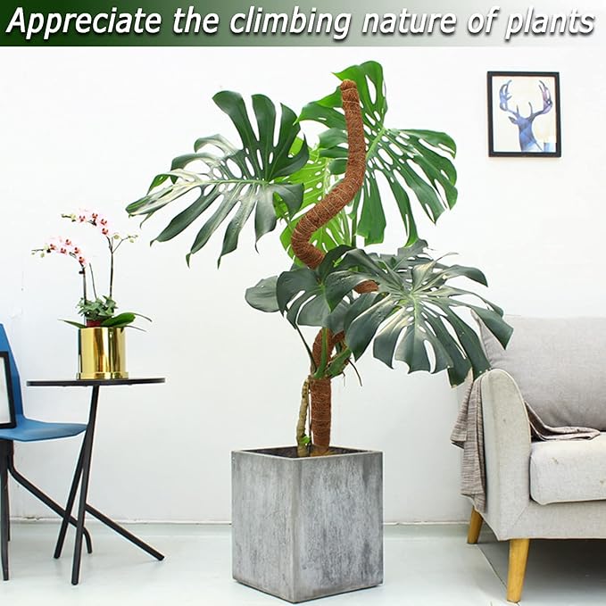 60 Inch Moss Pole for Plants Monstera, Tall Bendable Moss Poles for Climbing - Image 6