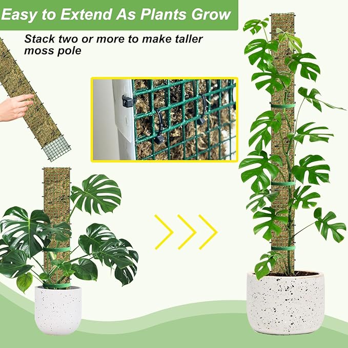 60"/40"/24" Metal Moss Pole, D Shape Sphagnum Moss Pole, Moss Poles - Image 4