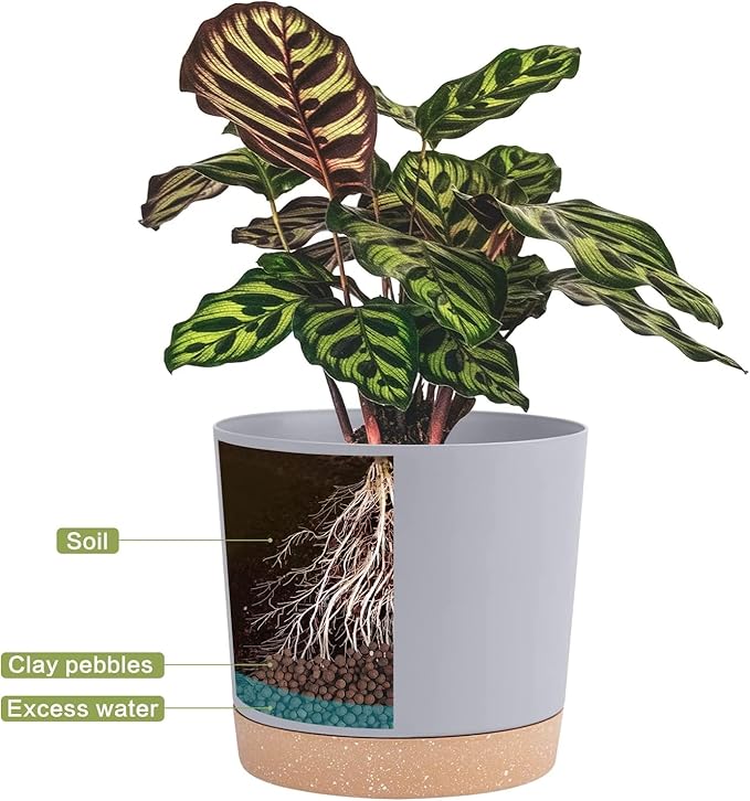 QCQHDU 10 inch Plant Pot, 2 Pack Planters - Image 4