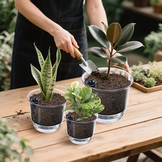Self Watering Pots, 3 Pack 4 Inch Clear Plant Pot Self Watering Planter Flowers - Image 6