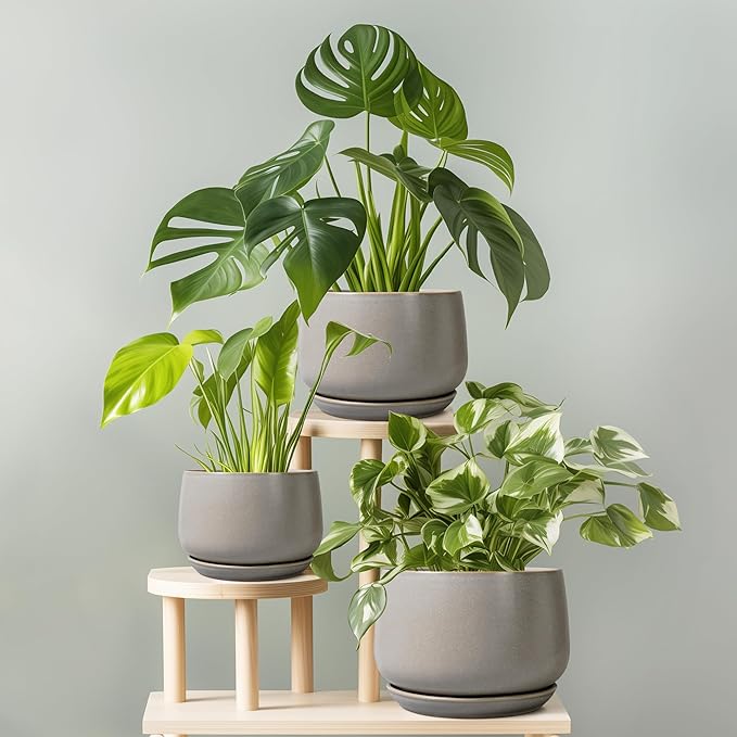 G EPGardening Ceramic Plant Pots - Image 8