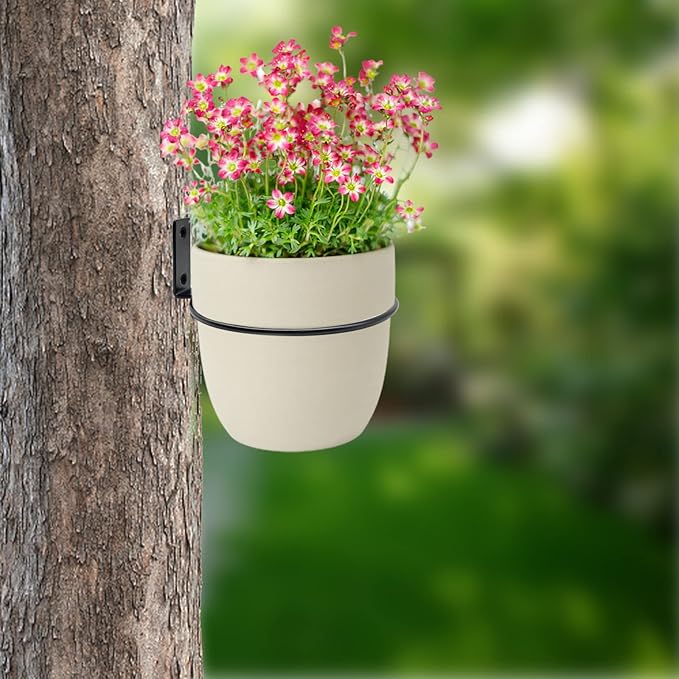 6 Pack 6 Inch Wall Flower Pot Holder Ring Plant Hanger, Metal Planter Hooks - Image 6