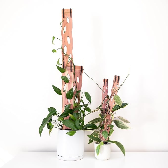 Treleaf Zella Grande Starter Kit – Wooden Extendable Plant Trellis by TRELEAF